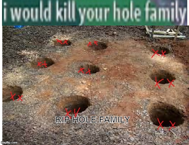 RIP my hole family | image tagged in fun,holes | made w/ Imgflip meme maker
