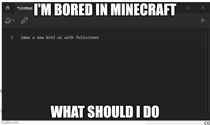 fullscreen executor | I'M BORED IN MINECRAFT; WHAT SHOULD I DO | image tagged in fullscreen executor | made w/ Imgflip meme maker