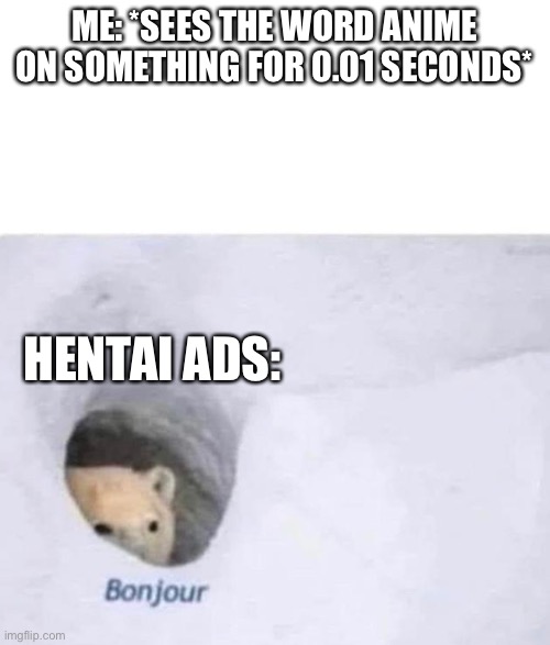 True Story | ME: *SEES THE WORD ANIME ON SOMETHING FOR 0.01 SECONDS*; HENTAI ADS: | image tagged in bonjour | made w/ Imgflip meme maker