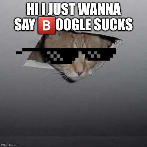 boogle | HI I JUST WANNA SAY 🅱️OOGLE SUCKS | image tagged in memes,ceiling cat | made w/ Imgflip meme maker