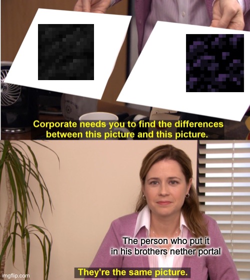 They're The Same Picture Meme | The person who put it in his brothers nether portal | image tagged in memes,they're the same picture | made w/ Imgflip meme maker