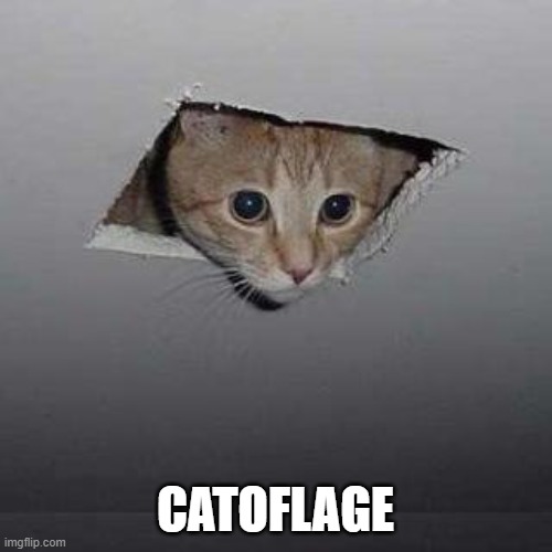 Ceiling Cat Meme | CATOFLAGE | image tagged in memes,ceiling cat | made w/ Imgflip meme maker