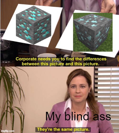 i hate pixelmon for this one reason | My blind ass | image tagged in memes,they're the same picture | made w/ Imgflip meme maker