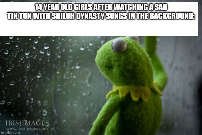 Do anyone know who she is | 14 YEAR OLD GIRLS AFTER WATCHING A SAD TIK TOK WITH SHILOH DYNASTY SONGS IN THE BACKGROUND: | image tagged in kermit window | made w/ Imgflip meme maker