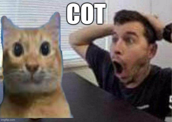 Guy Surprised By Cot Blank Meme Template