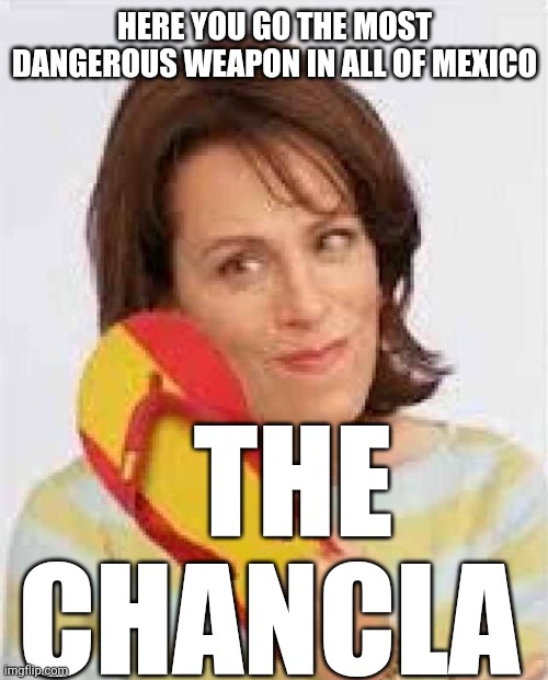 Chancla | HERE YOU GO THE MOST DANGEROUS WEAPON IN ALL OF MEXICO THE CHANCLA | image tagged in chancla | made w/ Imgflip meme maker