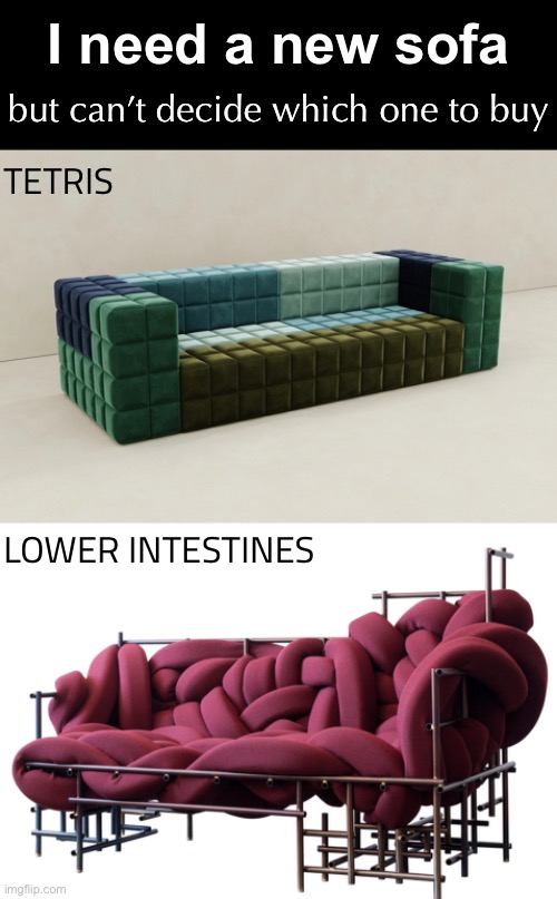 CAUTION: Bad Decision In Progress | I need a new sofa; but can’t decide which one to buy; TETRIS; LOWER INTESTINES | image tagged in funny memes,weird furniture,tetris,intestines | made w/ Imgflip meme maker