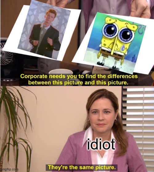 They're The Same Picture Meme | idiot | image tagged in memes,they're the same picture | made w/ Imgflip meme maker