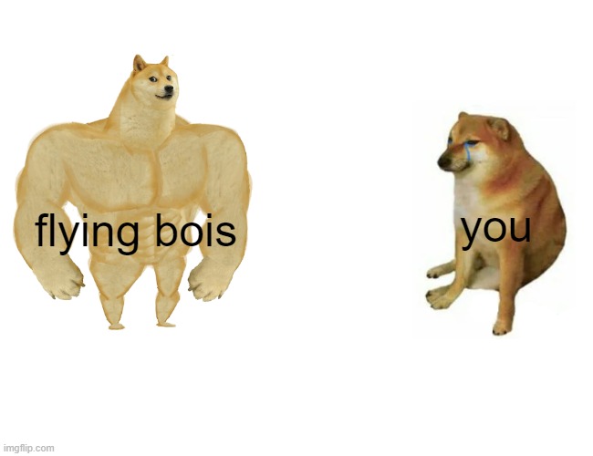 Buff Doge vs. Cheems Meme | flying bois you | image tagged in memes,buff doge vs cheems | made w/ Imgflip meme maker