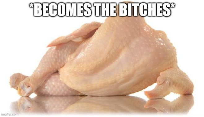 sexy chicken | *BECOMES THE BITCHES* | image tagged in sexy chicken | made w/ Imgflip meme maker