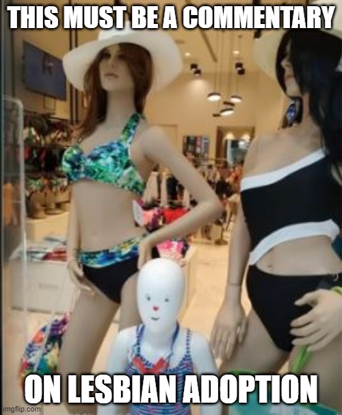 Face It Kid | THIS MUST BE A COMMENTARY; ON LESBIAN ADOPTION | image tagged in you had one job | made w/ Imgflip meme maker