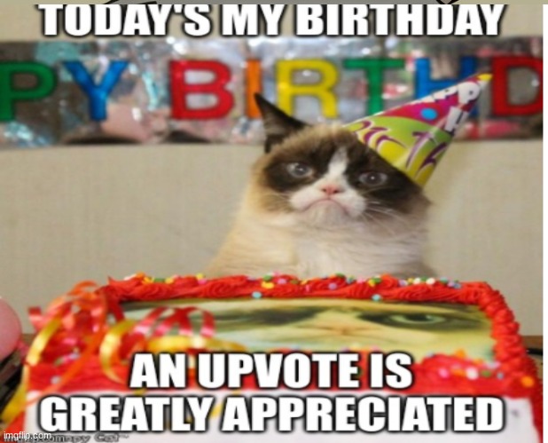 Birthday | image tagged in birthday | made w/ Imgflip meme maker