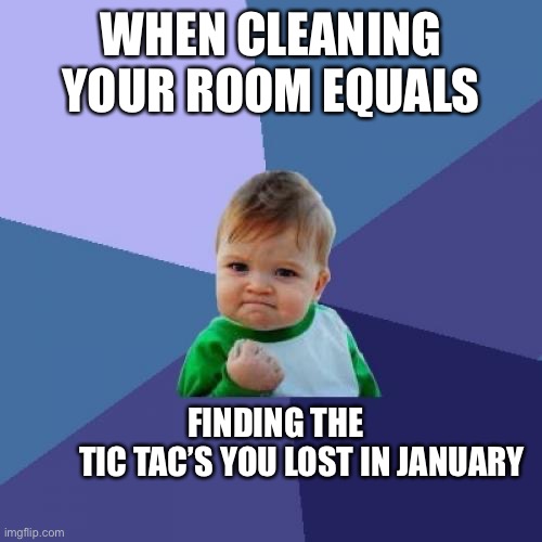 Tic Tac success | WHEN CLEANING YOUR ROOM EQUALS; FINDING THE          TIC TAC’S YOU LOST IN JANUARY | image tagged in memes,success kid | made w/ Imgflip meme maker