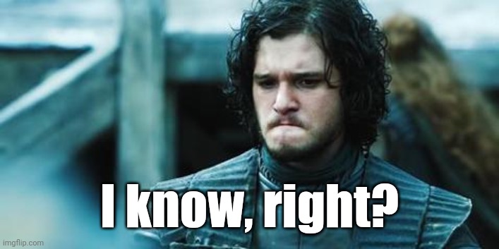 sad jon snow | I know, right? | image tagged in sad jon snow | made w/ Imgflip meme maker