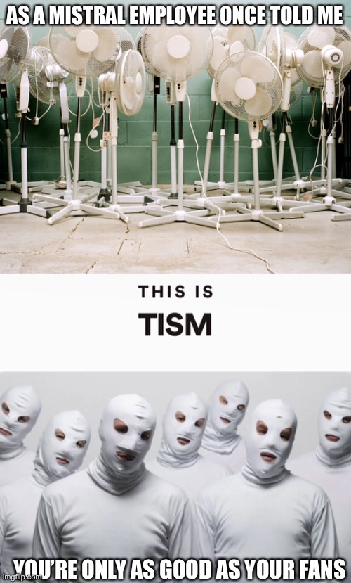 TISM fans | AS A MISTRAL EMPLOYEE ONCE TOLD ME; YOU’RE ONLY AS GOOD AS YOUR FANS | image tagged in fans,mistral,employees,good,onlyfans | made w/ Imgflip meme maker