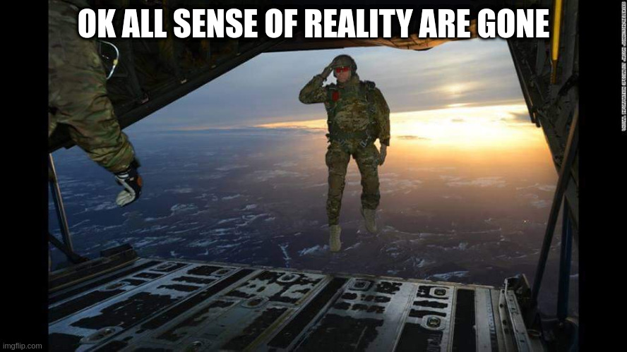 Military Skydive Solute | OK ALL SENSE OF REALITY ARE GONE | image tagged in military skydive solute | made w/ Imgflip meme maker