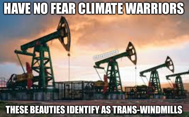 Safe for all! | HAVE NO FEAR CLIMATE WARRIORS; @foramerica; THESE BEAUTIES IDENTIFY AS TRANS-WINDMILLS | made w/ Imgflip meme maker