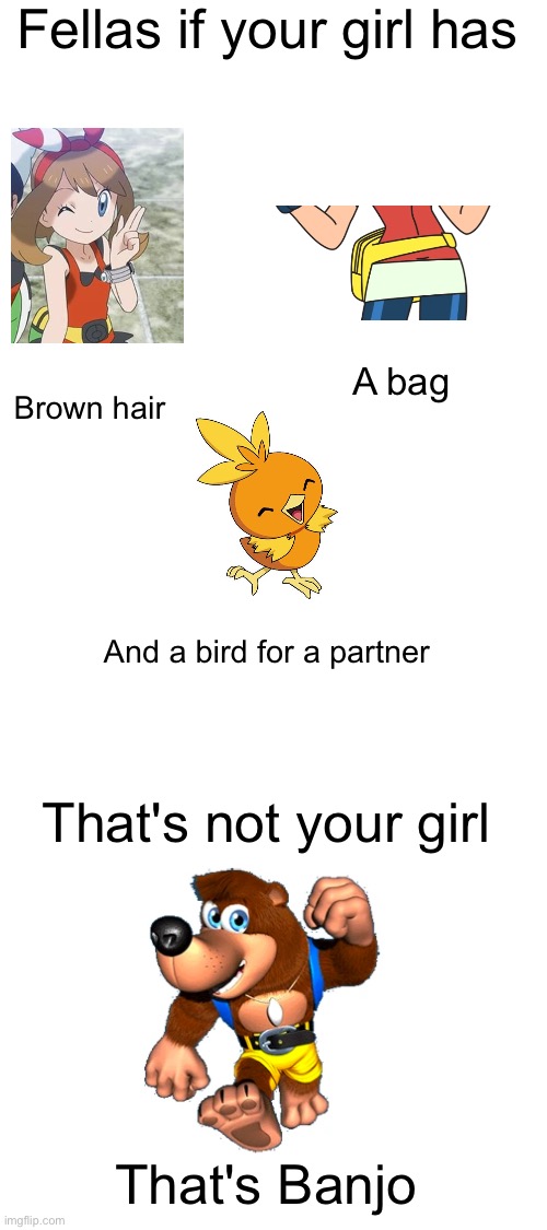 Blank White Template |  Fellas if your girl has; Brown hair; A bag; And a bird for a partner; That's not your girl; That's Banjo | image tagged in blank white template | made w/ Imgflip meme maker