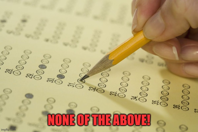 MCQ exam test multiple choice | NONE OF THE ABOVE! | image tagged in mcq exam test multiple choice | made w/ Imgflip meme maker