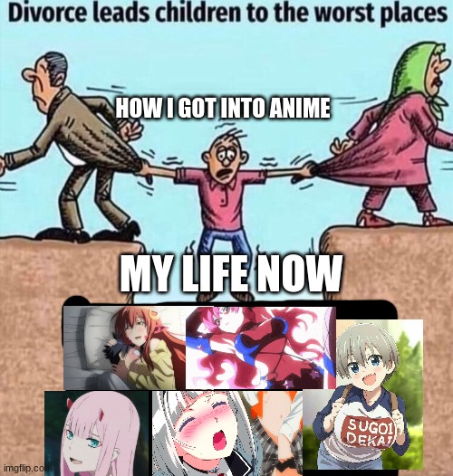 How I got into anime | HOW I GOT INTO ANIME; MY LIFE NOW | image tagged in divorce leads children to the worst places | made w/ Imgflip meme maker