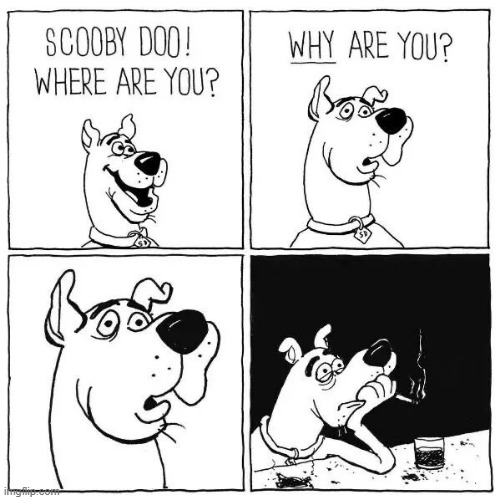 RUH ROH! | image tagged in scooby doo,comics/cartoons,funny,animals | made w/ Imgflip meme maker