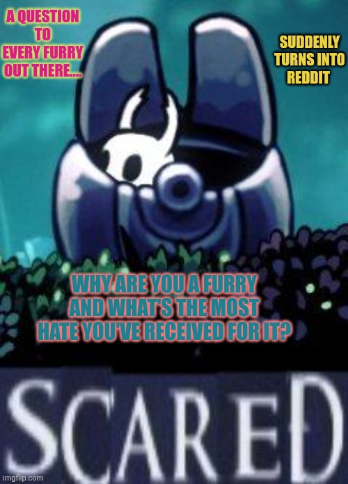 Question for all of you furries, why? Answer in the comments | SUDDENLY TURNS INTO REDDIT; A QUESTION TO EVERY FURRY OUT THERE.... WHY ARE YOU A FURRY AND WHAT'S THE MOST HATE YOU'VE RECEIVED FOR IT? | image tagged in hollow knight scared,legend of bag knight | made w/ Imgflip meme maker