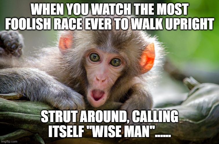 homo sapiens | WHEN YOU WATCH THE MOST FOOLISH RACE EVER TO WALK UPRIGHT; STRUT AROUND, CALLING ITSELF "WISE MAN"...... | image tagged in homo sapiens,humans | made w/ Imgflip meme maker