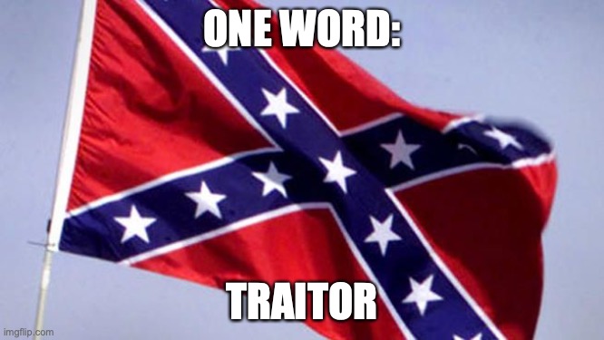 Confederate Flag | ONE WORD: TRAITOR | image tagged in confederate flag | made w/ Imgflip meme maker