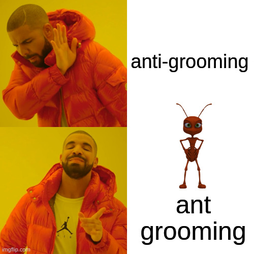 Drake Hotline Bling Meme | anti-grooming; ant grooming | image tagged in memes,drake hotline bling | made w/ Imgflip meme maker