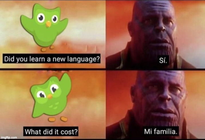 what did it cost | image tagged in what did it cost | made w/ Imgflip meme maker