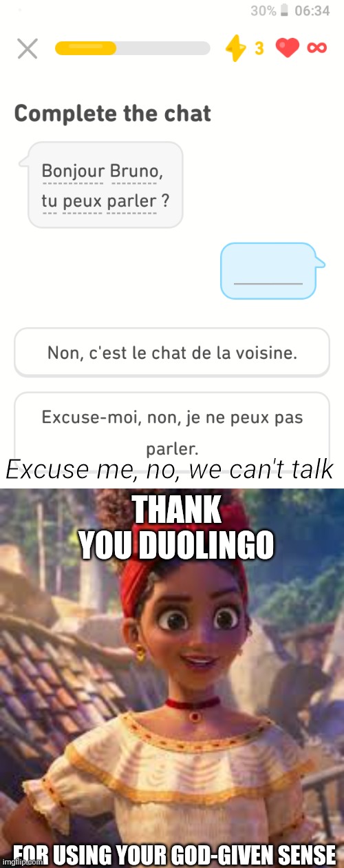 We do not, ever, under any circumstances, talk about BRUNOOOOOOOOOO | Excuse me, no, we can't talk; THANK YOU DUOLINGO; FOR USING YOUR GOD-GIVEN SENSE | image tagged in duolingo,encanto,we don't talk about bruno,bruno,what duolingo teaches,stop reading the tags | made w/ Imgflip meme maker