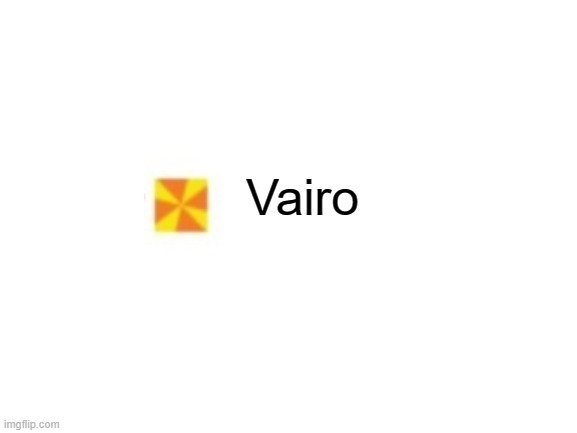 TrolleFox former username and icon | Vairo | image tagged in blank white template,memes,president_joe_biden | made w/ Imgflip meme maker