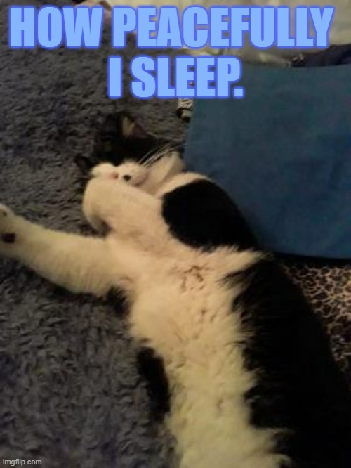 HOW PEACEFULLY 
I SLEEP. | made w/ Imgflip meme maker