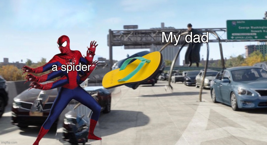 spyda man | My dad; a spider | image tagged in memes,no way home,spiderman,spider,spiderman peter parker | made w/ Imgflip meme maker