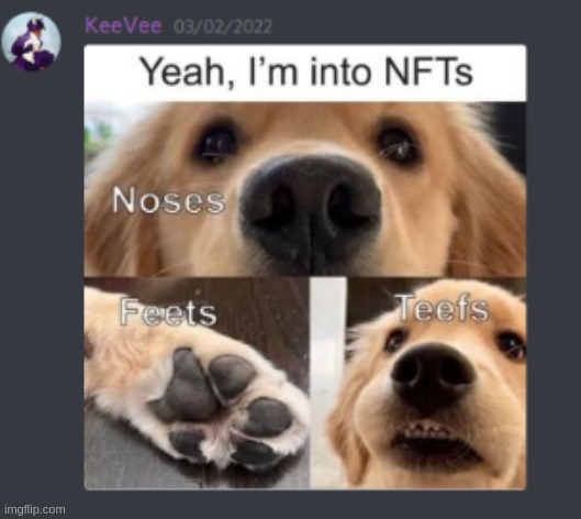 i just realized who_am_i has posted an unoriginasl meme lol (no imgflip watermark) | made w/ Imgflip meme maker