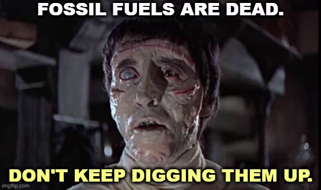Time to turn the page. | FOSSIL FUELS ARE DEAD. DON'T KEEP DIGGING THEM UP. | image tagged in fossil fuel,oil,gas,coal,dead,over | made w/ Imgflip meme maker