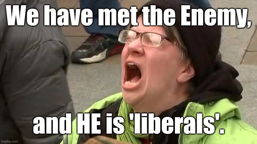 'liberal' 'adults' scream at the sky | We have met the Enemy, and HE is 'liberals'. | image tagged in 'liberal' 'adults' scream at the sky | made w/ Imgflip meme maker