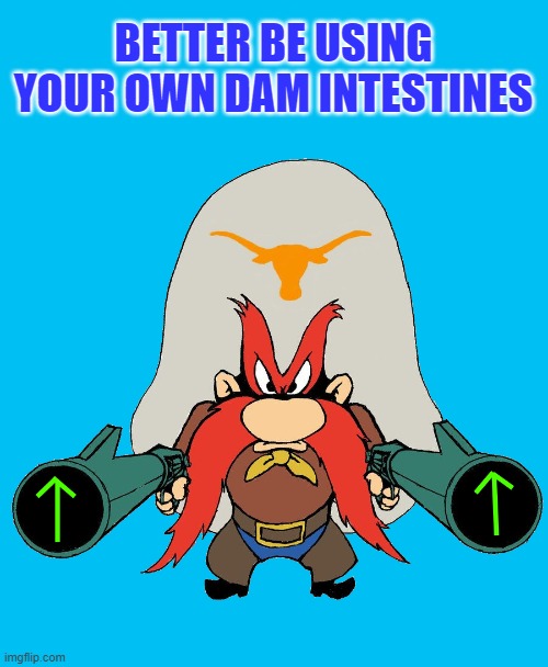 BETTER BE USING YOUR OWN DAM INTESTINES | image tagged in sam | made w/ Imgflip meme maker