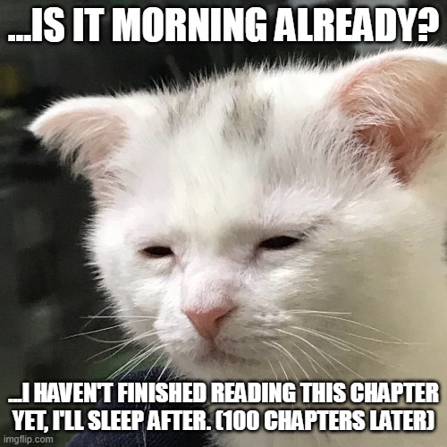 bookworms understand me | ...IS IT MORNING ALREADY? ...I HAVEN'T FINISHED READING THIS CHAPTER YET, I'LL SLEEP AFTER. (100 CHAPTERS LATER) | image tagged in i'm awake but at what cost,cats,sleepy cat | made w/ Imgflip meme maker