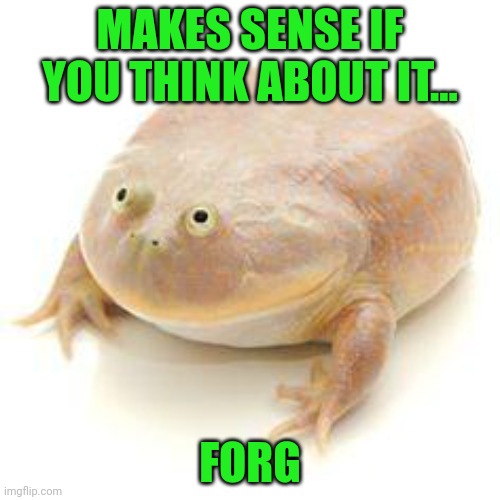 Wednesday Frog Blank | MAKES SENSE IF YOU THINK ABOUT IT... FORG | image tagged in wednesday frog blank | made w/ Imgflip meme maker