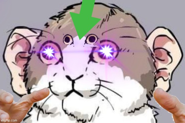 ang cat that i made | image tagged in cursed image,cat,funny memes | made w/ Imgflip meme maker