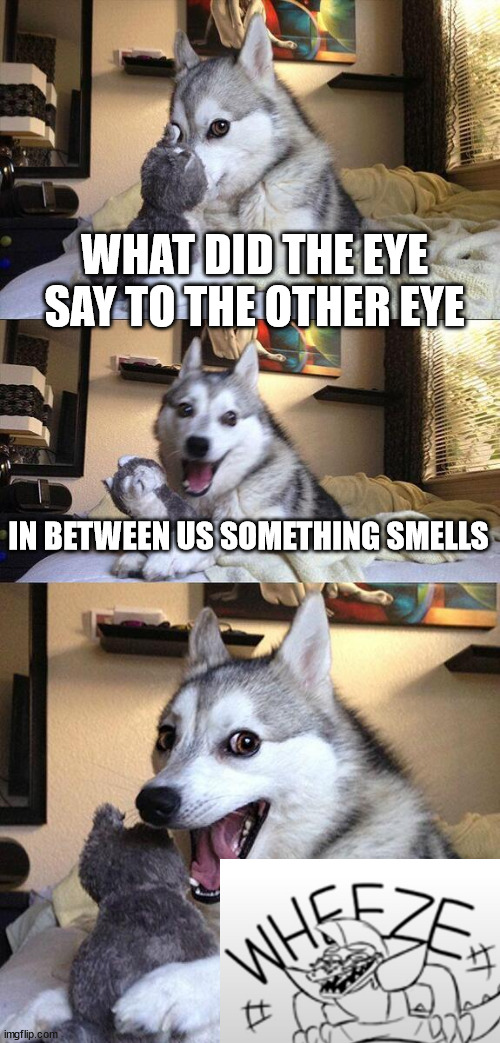 Bad Pun Dog | WHAT DID THE EYE SAY TO THE OTHER EYE; IN BETWEEN US SOMETHING SMELLS | image tagged in memes,bad pun dog | made w/ Imgflip meme maker