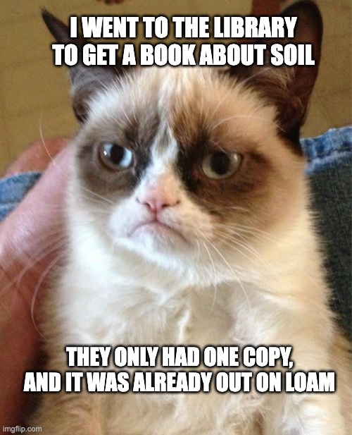 Grumpy Cat | I WENT TO THE LIBRARY TO GET A BOOK ABOUT SOIL; THEY ONLY HAD ONE COPY, AND IT WAS ALREADY OUT ON LOAM | image tagged in memes,grumpy cat | made w/ Imgflip meme maker