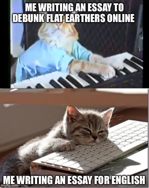 How it works I know not |  ME WRITING AN ESSAY TO DEBUNK FLAT EARTHERS ONLINE; ME WRITING AN ESSAY FOR ENGLISH | image tagged in keyboard cat,bored keyboard cat,flat earthers | made w/ Imgflip meme maker