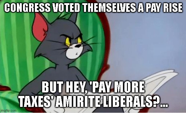 Tom reading newspaper | CONGRESS VOTED THEMSELVES A PAY RISE; BUT HEY, 'PAY MORE TAXES' AMIRITE LIBERALS?... | image tagged in tom reading newspaper | made w/ Imgflip meme maker