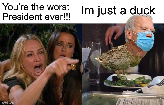 Duck Boe Jiden | Im just a duck; You’re the worst President ever!!! | image tagged in memes,woman yelling at cat | made w/ Imgflip meme maker