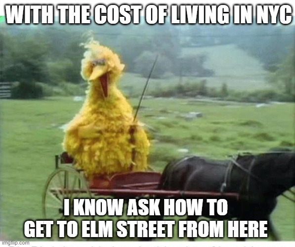 looks like inflation has effected sesame street | WITH THE COST OF LIVING IN NYC; I KNOW ASK HOW TO GET TO ELM STREET FROM HERE | image tagged in big bird in carriage | made w/ Imgflip meme maker