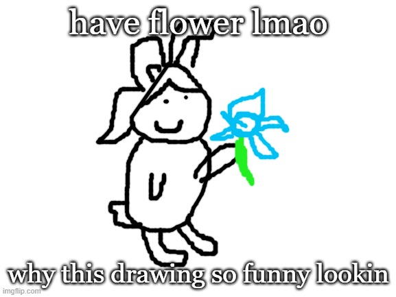 Blank White Template | have flower lmao; why this drawing so funny lookin | image tagged in blank white template | made w/ Imgflip meme maker