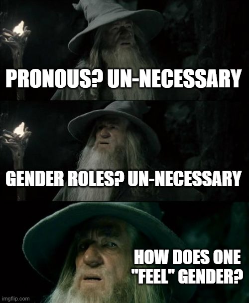 Confused Gandalf Meme | PRONOUS? UN-NECESSARY; GENDER ROLES? UN-NECESSARY; HOW DOES ONE "FEEL" GENDER? | image tagged in memes,confused gandalf | made w/ Imgflip meme maker