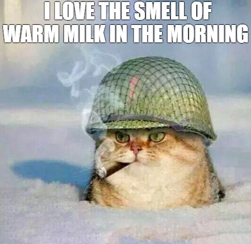 i stay ready |  I LOVE THE SMELL OF WARM MILK IN THE MORNING | image tagged in war cat,war | made w/ Imgflip meme maker